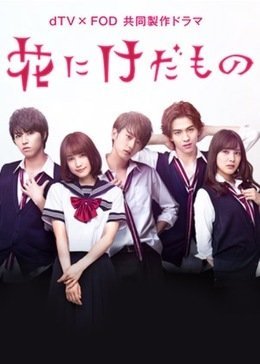 Цветок для зверя - главный постер