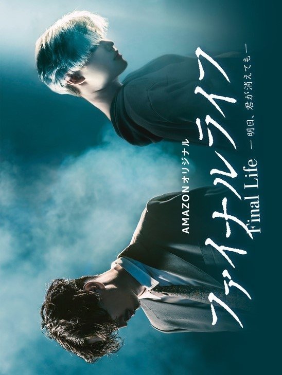 Финальная жизнь - главный постер