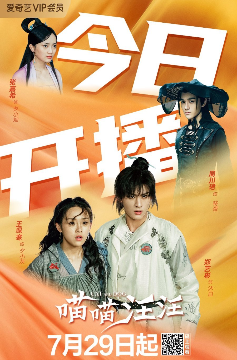 Кошка с собакой - главный постер