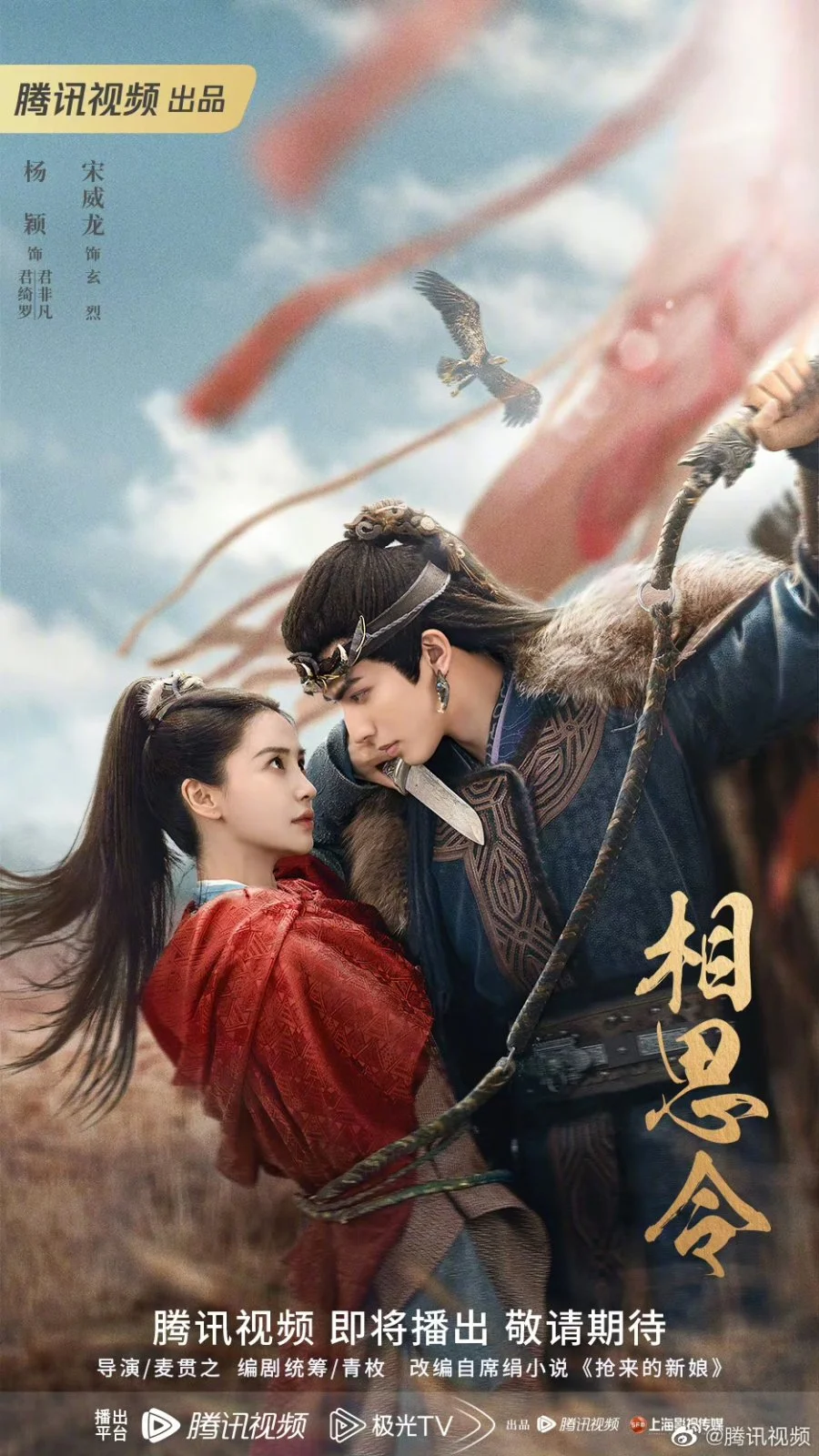 Похищенная невеста - главный постер