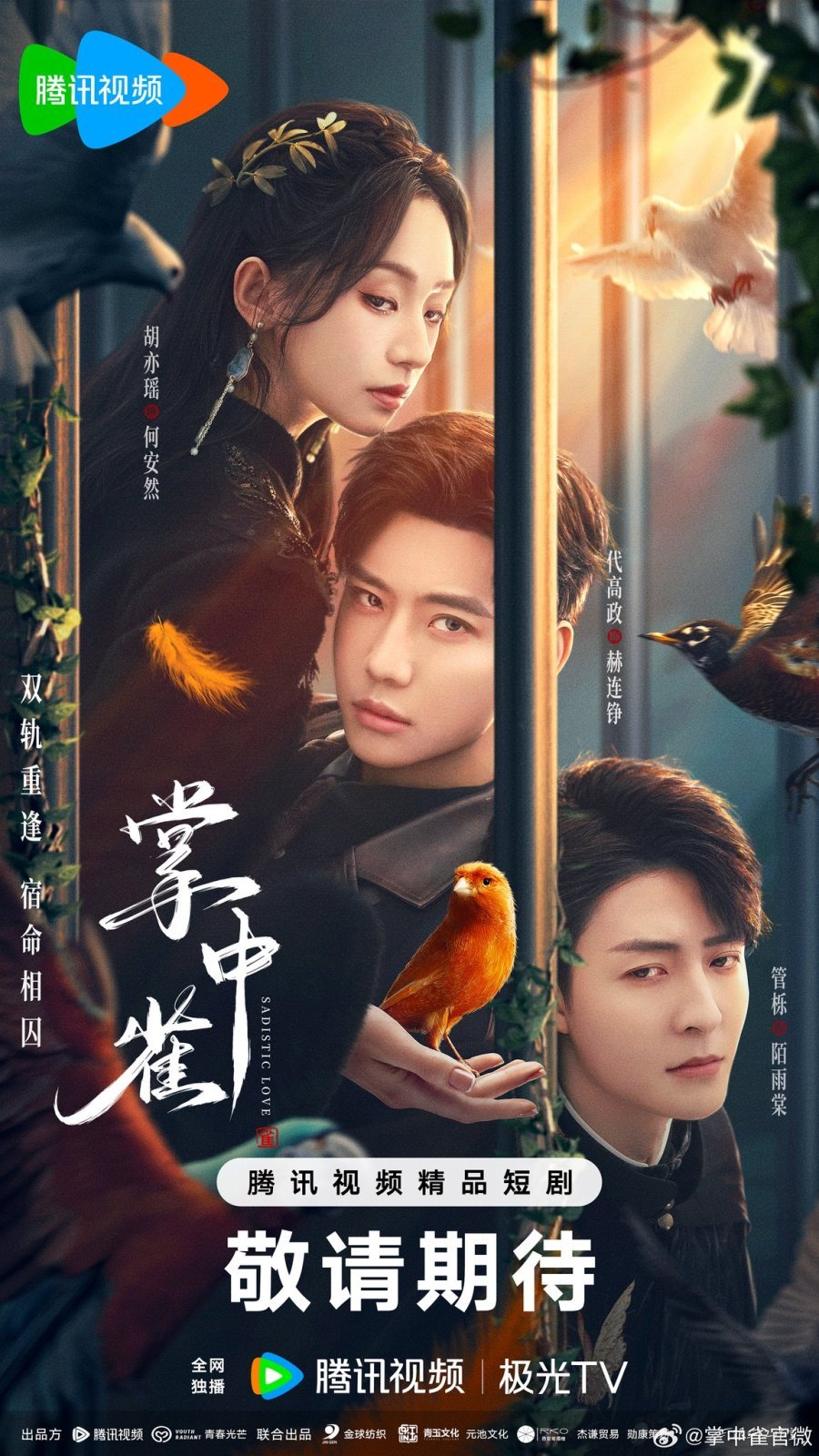 Птица в ладони - главный постер